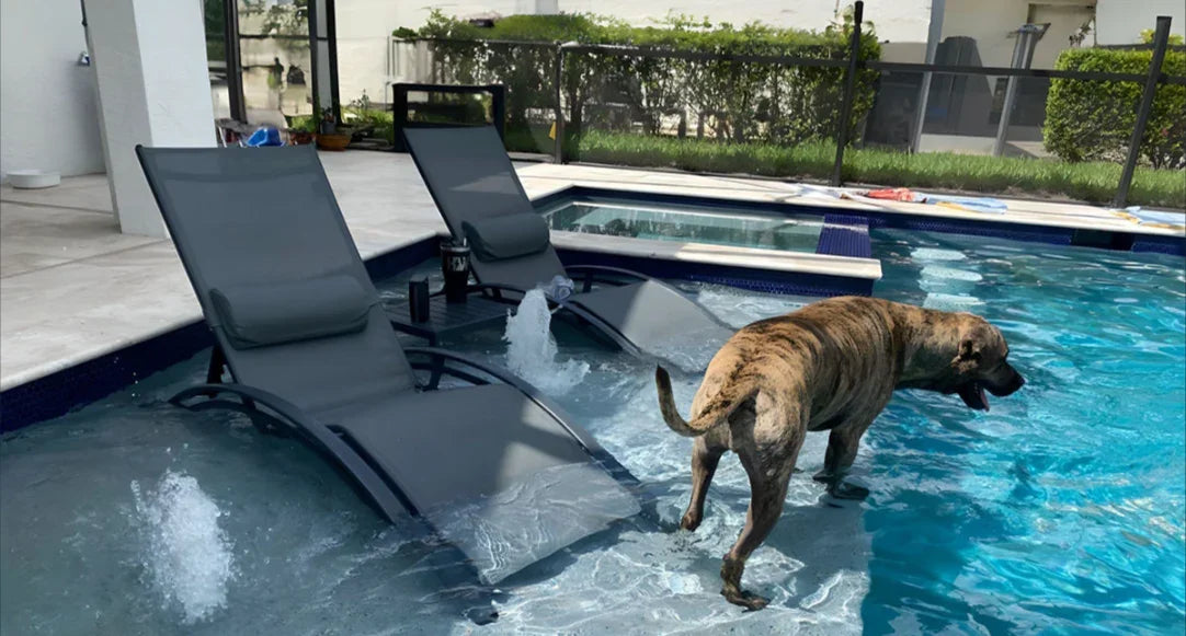 Where Should a Chaise Lounge Be Placed?