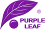 PURPLE LEAF