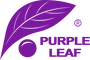 PURPLE LEAF