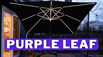 Is the PURPLE LEAF Solar Umbrella Really Worth the Hype? A Real Review + 3 Buying Truths