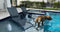 Two gray chaise lounges partially submerged in a pool, with a dog standing nearby