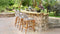 Modern patio furniture set made of gray PE rattan in a garden