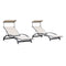 PURPLE LEAF Patio Lounge Chair with Canopy Shade Outdoor Chaise Lounge Chair Set of 2 for Lawn Poolside Backyard Sunbathing Tanning Chairs with Arm