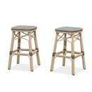 PURPLE LEAF Outdoor Bar Stools Set of 2 Rattan Patio Tall Bar Chairs Aluminum Frame with Back Barstools for Kitchen Garden Backyard Bistros Restaurant