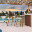 PURPLE LEAF Outdoor Bar Stool Counter Stools Rattan Bar Chair with Back Aluminum Modern Barstools for Patio Garden Kitchen