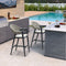 PURPLE LEAF Outdoor Bar Stool Counter Stools Rattan Bar Chair with Back Aluminum Modern Barstools for Patio Garden Kitchen