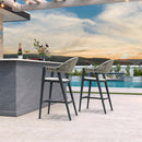 PURPLE LEAF Outdoor Bar Stool Counter Stools Rattan Bar Chair with Back Aluminum Modern Barstools for Patio Garden Kitchen