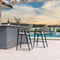 PURPLE LEAF Outdoor Bar Stool Counter Stools Rattan Bar Chair with Back Aluminum Modern Barstools for Patio Garden Kitchen