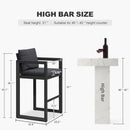 PURPLE LEAF Caesar Bar Stools Set of 2 Modern Aluminum Barstools with Stainless Removable Cushion for Kitchen Outside Island Backyard