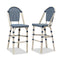 OPEN BOX I PURPLE LEAF French Counter Height Bar Height Stool Set of 2, Patio Bar Chairs with Back Rattan, French Bistro Set