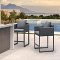PURPLE LEAF Outdoor Bar Stools Set of 2 Modern Olefin Weaving Bar Chairs with Backrest Pillow for Patio, Poolside or Indoor