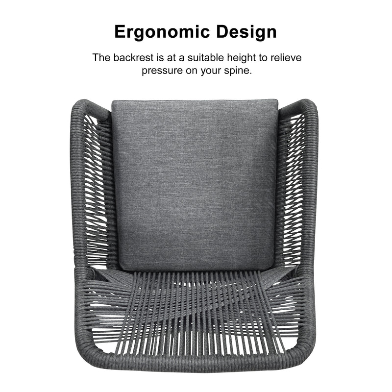 OPEN BOX I PURPLE LEAF Outdoor Dining Chair ×2 All-Weather PE Rattan with Aluminum Frame