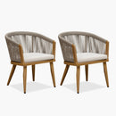 PURPLE LEAF Patio Dining Chairs Set of 2 Aluminum Frame Rattan Dining Chairs with Comfortable Cushions for Deck Garden