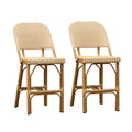 PURPLE LEAF Outdoor Bar Height Stools Set of 2 French Country Patio Rattan Bar Stool Chairs Outdoor Armless Barstools for Porch Garden Indoor Kitchen