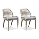 PURPLE LEAF 2 Pieces  Sunbrella Patio Dining Chairs with All-Weather Wicker Back and Comfortable Cushions for Deck, Garden, Kitchen