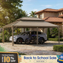 PURPLE LEAF Outdoor Carport Gazebo Champagne Steel Roof Aluminum Frame Shelter for Parking
