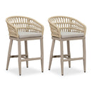 OPEN BOX I PURPLR LEAF Bar Stools Chair Set of 2, Rattan and Aluminum Frame with Comfortable Cushion