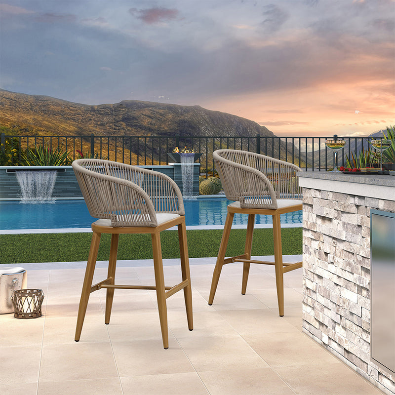 PURPLE LEAF Outdoor Bar stools Stools Set of 2 Rattan Bar Chairs with Embedded Cushions and  Back for Outdoor or Indoor