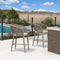 PURPLE LEAF Outdoor Bar stools Stools Set of 2 Rattan Bar Chairs with Embedded Cushions and  Back for Outdoor or Indoor