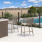 PURPLE LEAF Outdoor Bar stools Stools Set of 2 Rattan Bar Chairs with Embedded Cushions and  Back for Outdoor or Indoor