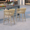 PURPLE LEAF Bar Stools Set of 2 Rattan Bar Stools with Cushions AluminumBar Chairs for Outdoor or Indoor Kitchen Bar Stools
