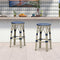 PURPLE LEAF Patio Round Bar Stools Set of 2 Outdoor Backless Barstools Woven Rattan Bar Chair  for Indoor Kitchen Island Bistros Cafe Restaurant