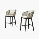 PURPLE LEAF Outdoor Bar Stools Patio Modern Aluminum Rattan High Back & Arms Bar Chairs with Removable Cushions and Pillows  for Outdoor or Indoor