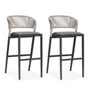 OPEN BOX I  PURPLE LEAF Outdoor Bar Stools Set of 2, Rattan Wicker Aluminum Barstools with Back and Footrest Garden Balcony Pool Bar Chairs.