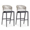 OPEN BOX I  PURPLE LEAF Outdoor Bar Stools Set of 2, Rattan Wicker Aluminum Barstools with Back and Footrest Garden Balcony Pool Bar Chairs.