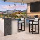 PURPLE LEAF Caesar Outdoor Bar Stools Set of 2 Modern Aluminum Barstools with Stainless Removable Cushion Patio Bar Stool for Kitchen Outside Island Backyard