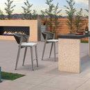 PURPLE LEAF Counter Height Bar Stool Set of 2 Outdoor Stool Chair with Footrest Patio Bar Height Stools Rattan Barstools for Outdoor or Indoor
