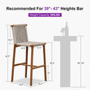 PURPLE LEAF Bar Stools Set of 2 with Back Aluminum Patio Counter Height Stools for Pool Lawn Kitchen All Weather Wicker Outdoor Bar Chairs