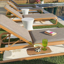 PURPLE LEAF Patio Chaise Lounge Outdoor Set of 2 with Cushion Aluminum Tanning Chair Lounge Adjustable Reclining Set
