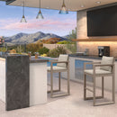 PURPLE LEAF Caesar Outdoor Bar Stools Set of 2 Modern Aluminum Barstools with Stainless Removable Cushion Patio Bar Stool for Kitchen Outside Island Backyard