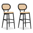 PURPLE LEAF Modern Bar Stool Set of 2, Woven Counter Stools with Back, Bistro Bar Stools