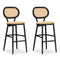 PURPLE LEAF Modern Bar Stool Set of 2, Woven Counter Stools with Back, Bistro Bar Stools