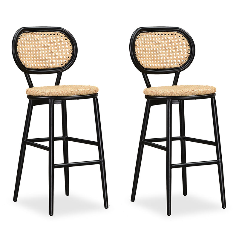 PURPLE LEAF Modern Bar Stool Set of 2, Woven Counter Stools with Back, Bistro Bar Stools