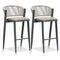 PURPLE LEAF Counter Height Bar Stool Set of 2 Outdoor Stool Chair with Footrest Patio Bar Height Stools Rattan Barstools for Outdoor or Indoor