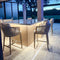 PURPLE LEAF Outdoor Bar Stools Chair Set of 2, Modern Rattan Bar Stool with Back and Cushion for Balcony, Indoor or Outdoor, Kitchen Island