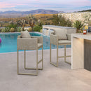 PURPLE LEAF Outdoor Bar Stools Set of 2 Modern Olefin Weaving Bar Chairs with Backrest Pillow for Patio, Poolside or Indoor