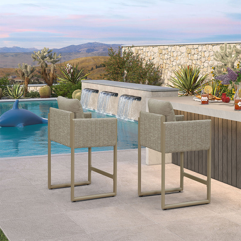 PURPLE LEAF Outdoor Bar Stools Set of 2 Modern Olefin Weaving Bar Chairs with Backrest Pillow for Patio, Poolside or Indoor