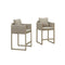 PURPLE LEAF Outdoor Bar Stools Set of 2 Modern Olefin Weaving Bar Chairs with Backrest Pillow for Patio, Poolside or Indoor