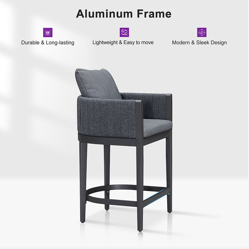 PURPLE LEAF Outdoor Bar Stools Set of 2 Modern Olefin Weaving Bar Chairs with Backrest Pillow for Patio, Poolside or Indoor