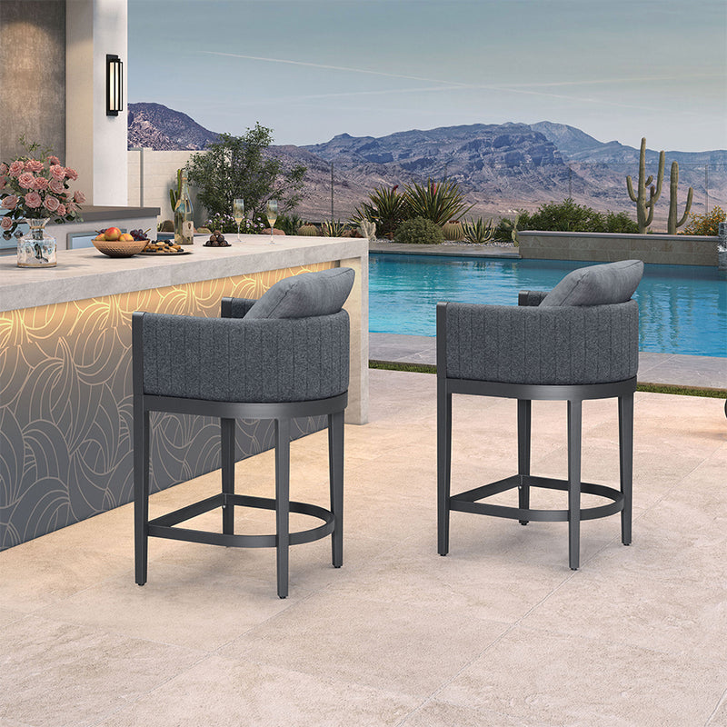 PURPLE LEAF Outdoor Bar Stools Set of 2 Modern Olefin Weaving Bar Chairs with Backrest Pillow for Patio, Poolside or Indoor