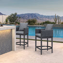 PURPLE LEAF Outdoor Bar Stools Set of 2 Modern Olefin Weaving Bar Chairs with Backrest Pillow for Patio, Poolside or Indoor