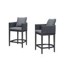 PURPLE LEAF Outdoor Bar Stools Set of 2 Modern Olefin Weaving Bar Chairs with Backrest Pillow for Patio, Poolside or Indoor