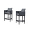 PURPLE LEAF Outdoor Bar Stools Set of 2 Modern Olefin Weaving Bar Chairs with Backrest Pillow for Patio, Poolside or Indoor