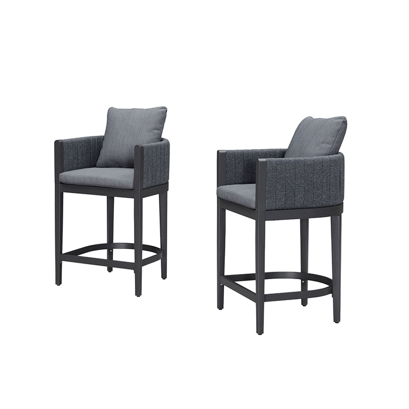 PURPLE LEAF Outdoor Bar Stools Set of 2 Modern Olefin Weaving Bar Chairs with Backrest Pillow for Patio, Poolside or Indoor