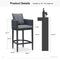 PURPLE LEAF Outdoor Bar Stools Set of 2 Modern Olefin Weaving Bar Chairs with Backrest Pillow for Patio, Poolside or Indoor