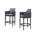 PURPLE LEAF Outdoor Bar Stools Set of 2 Modern Olefin Weaving Bar Chairs with Backrest Pillow for Patio, Poolside or Indoor